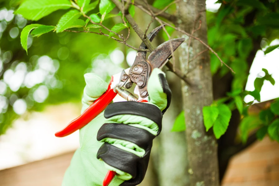 Landscape Maintenance